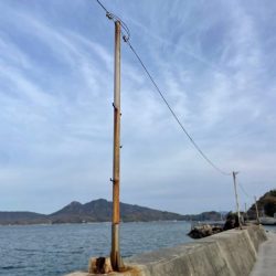 短時間で一杯‼️