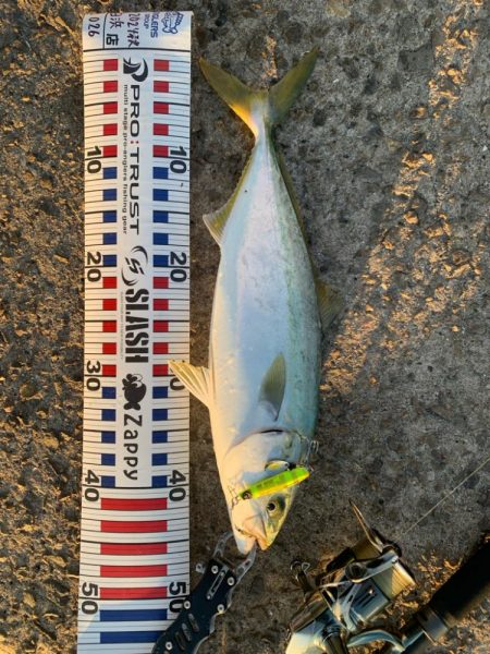 12月でも青物！