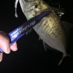 週末爆風アジング