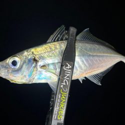 夜な夜な夜な夜な夜な夜なアジング