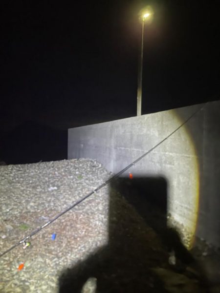 数釣りは出来ず。