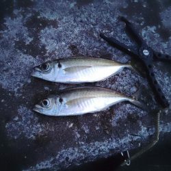 フロートゲーム~