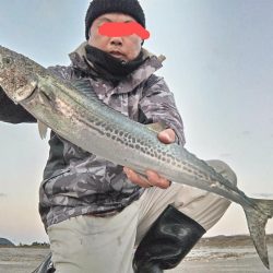 サゴシが釣れました!