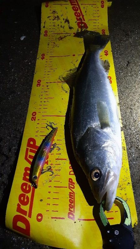 楽しい時期が来ましたね!