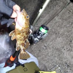 ウツボ祭りの釣り納め