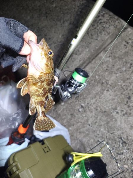 ウツボ祭りの釣り納め
