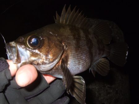 束の間の凪からの雨風