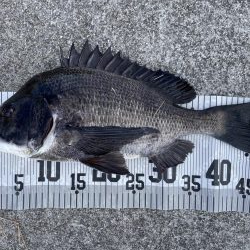 イチノ兄弟、釣果！