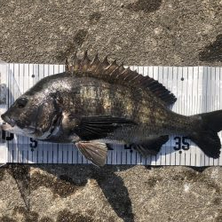 イチノ兄弟、釣果!