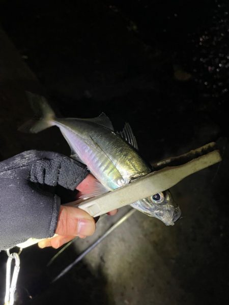 爆風アジング ぜひご参考に