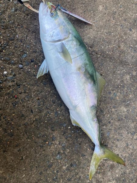 2024ライトゲーム第42戦