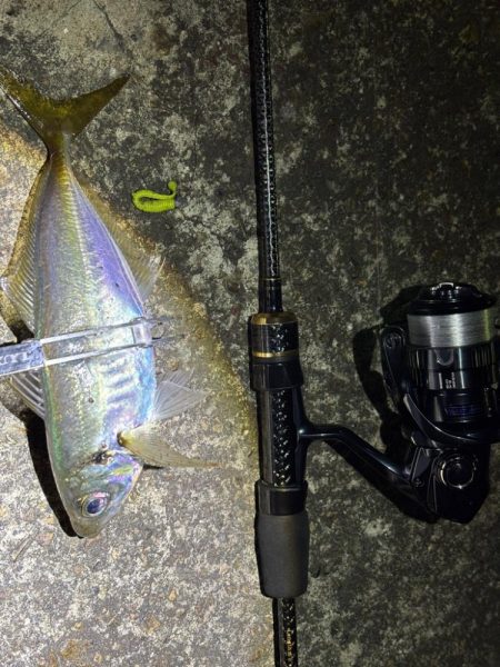 大阪市アジング