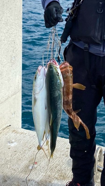 ロックショアミーティング2024 PRED…