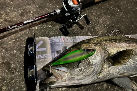 ラブリー♡さなえ氏のハンドメイドルアーシリ…