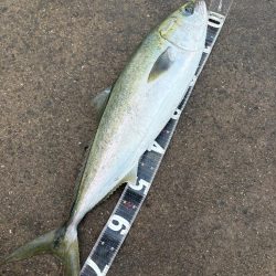 荒れた時はモンスターショット!