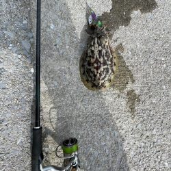 短時間で一杯‼️