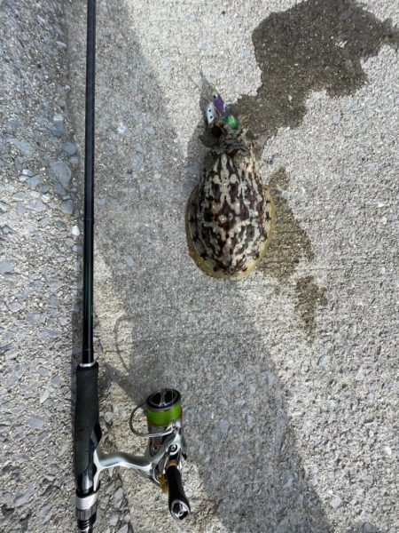 短時間で一杯‼️…