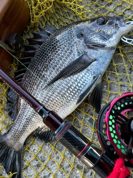 ヘチってきました