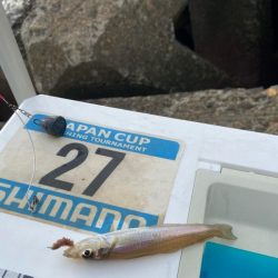 マトリックス穴ギスタ