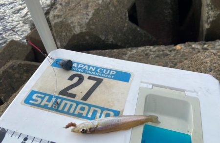 マトリックス穴ギスタ