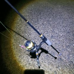 アジングで尺アジと40cmサバ