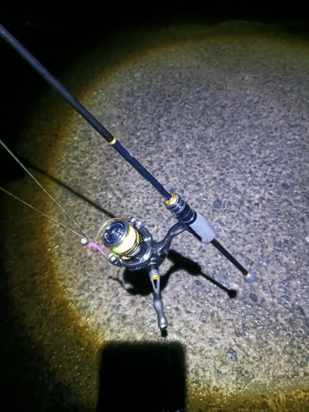 アジングで尺アジと40cmサバ