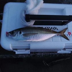 フロートゲーム~