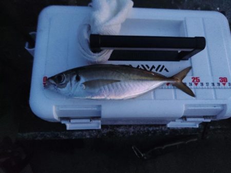 フロートゲーム~