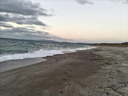 サゴシが釣れました!