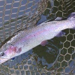 今シーズン初ホーム ～大安トラウトレイク～…