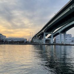 流石にアジが少なくなってきたような?時合を狙わないと数釣りは難しそう