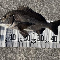 イチノ兄弟、釣果！