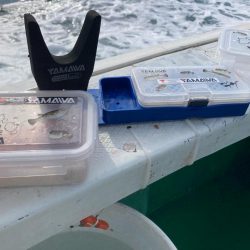 明石のカットウ釣り