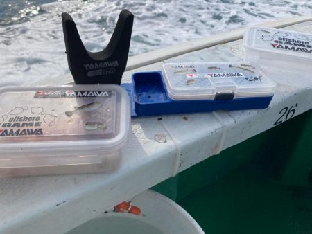 明石のカットウ釣り