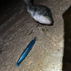 年内最後の釣行成功!