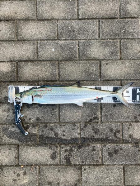 もういつでも終わりそう。。何とか青牙58セ…