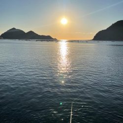 メリーツリシマス!