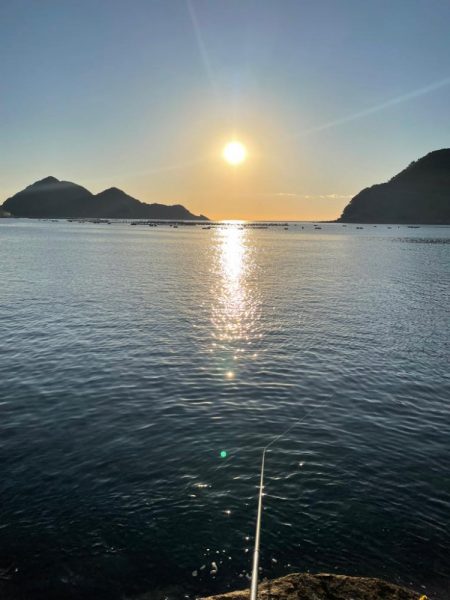 メリーツリシマス!