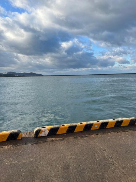 メッキしか釣れません。