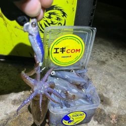 ヒイカ🦑釣り(^｡^)