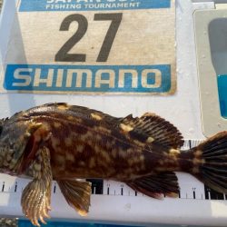 マトリックス穴ギスタ