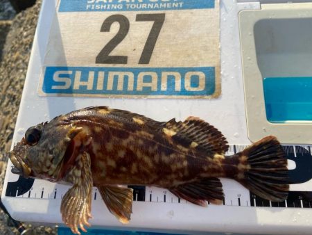 マトリックス穴ギスタ