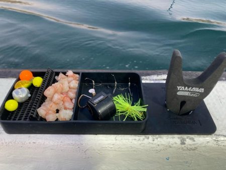 大阪湾カットウ