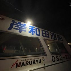 岸和田一文字 ブリ