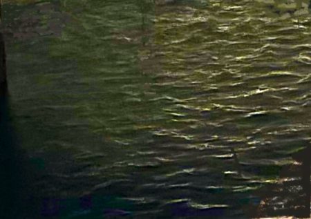 釣り納め⁈ 釣り納まらず。