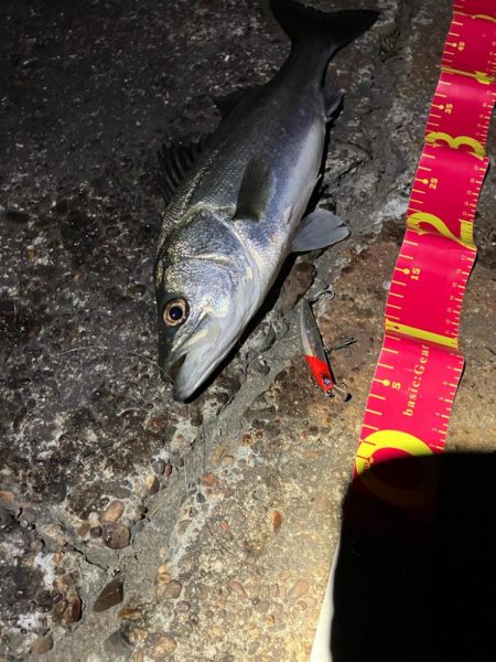 相性の悪かった丹頂鶴やっとキタ!