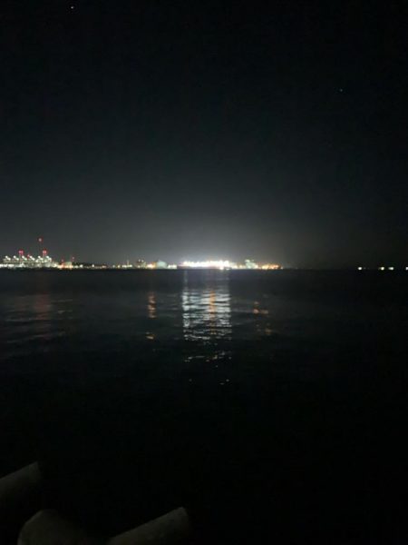 12月でも青物！