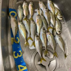 満足な釣行でした。