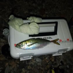 風裏フロートゲーム~