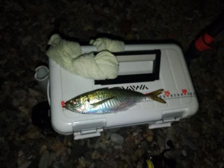 風裏フロートゲーム~